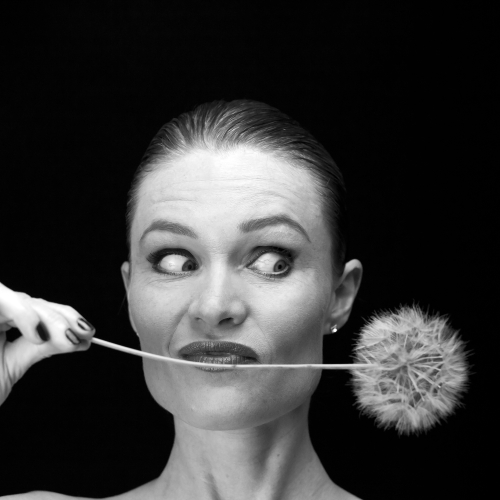 portrait studio